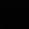 2v6o