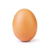 _eggony