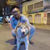 ducanhtrinh23