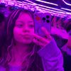 minti_pop