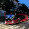 busbaer