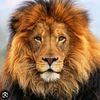 preet__canada