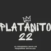 platanitoyt22