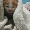 murni_79