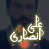 aliansari23d