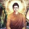 vivekthapar18