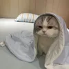 meowmeow_1246