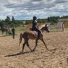 am.equestrian_