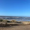 bigpurpleaki0151