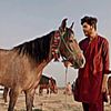 hasham_qureshi786