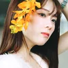 白河 芹 ( Seri )