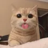 thaonguyenn_90