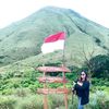 hernylie53