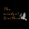 themindful_overthinker