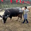 luongthang_1992
