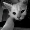 user92377_