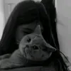 ayoo_zaxoiy