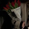 bedo_422