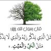 user2053299903042