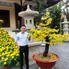 daiphuc86