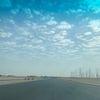 omar_d_