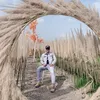 hoang_nguyen51