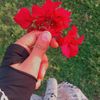 sondosabdulrehmin19_8