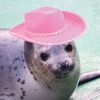 selkie2008