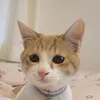 pamooonya