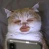 user09abnnsa