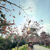 mulyamuy18