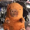 _xaugai66