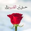 olfatmohamedgad