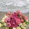 aliam961
