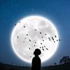naveedjamal007