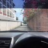 _erico66