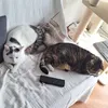 plume.oreo
