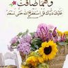 لؤلؤة الأمل