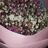 beautyflower909