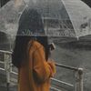 monirh009