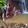 liskeilanatera20