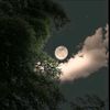 user772011124