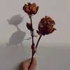 dalilatulhana5