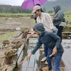 salun_hp
