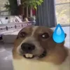 tienvanvu204