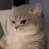 meii.fanggg