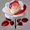 ado98765283