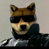 flo_dfr45