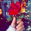 user8326437397008