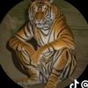 kittisak_556
